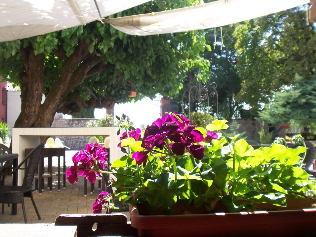 Agriturismo Al Casale コドローイポ エクステリア 写真